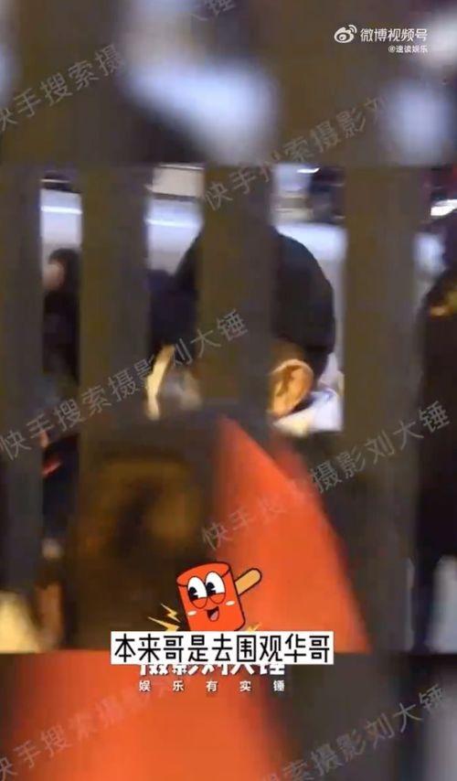 刘德华狗仔爆料视频播放,揭秘娱乐圈幕后真相  第2张